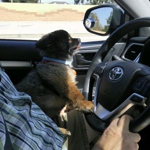 Meet your Posher, Dianna